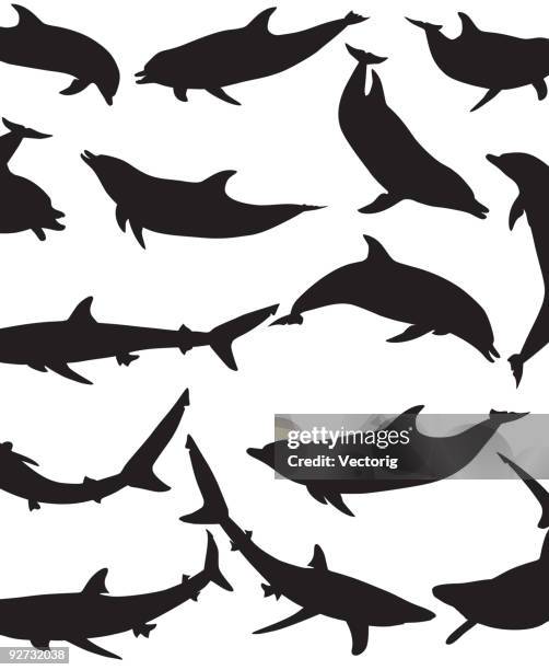dolphin and shark silhouette - same model different actions stock illustrations