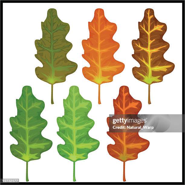 fall leaves 03 - herfst vector stock illustrations