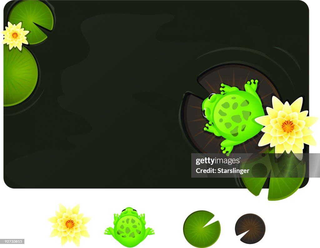 Frog on a lily pad