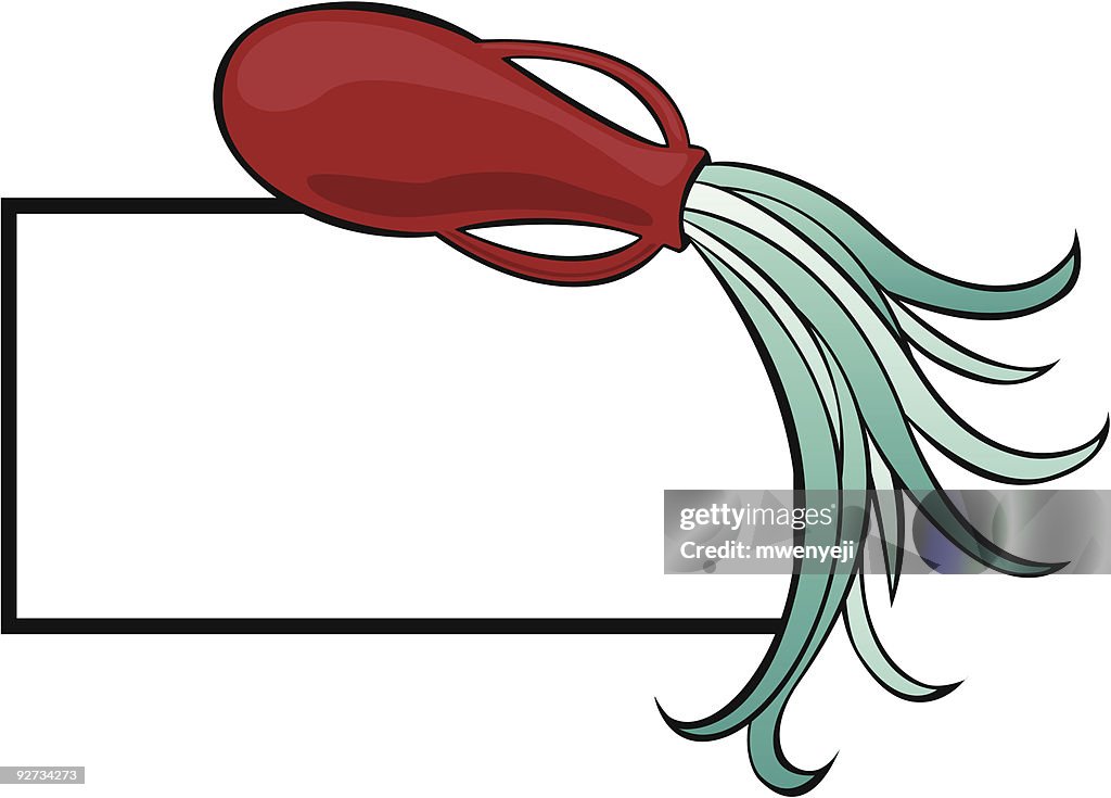 Jar_Border