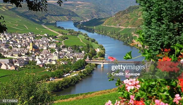 mosel river and valley with village in vineyard - mosel valley stock pictures, royalty-free photos & images