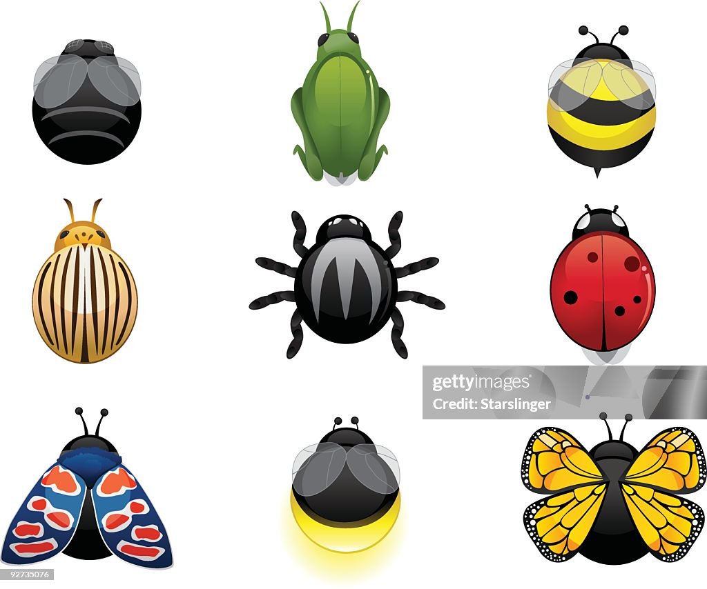 Insect Icons