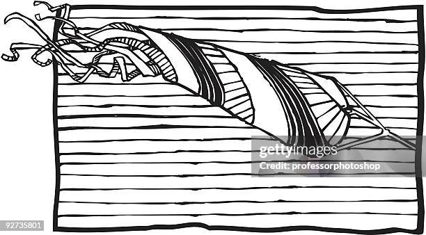 long kite - kite stock illustrations