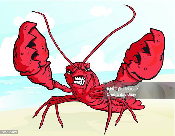 beach lobster - crayfish seafood stock illustrations