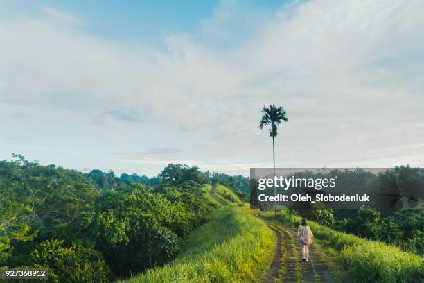 woman walking on  green hill in bali  at morning - campuhan ridge walk stock pictures, royalty-free photos & images