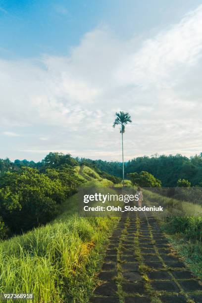 vrouw lopen op groene heuvel in bali's ochtend - campuhan ridge walk stockfoto's en -beelden