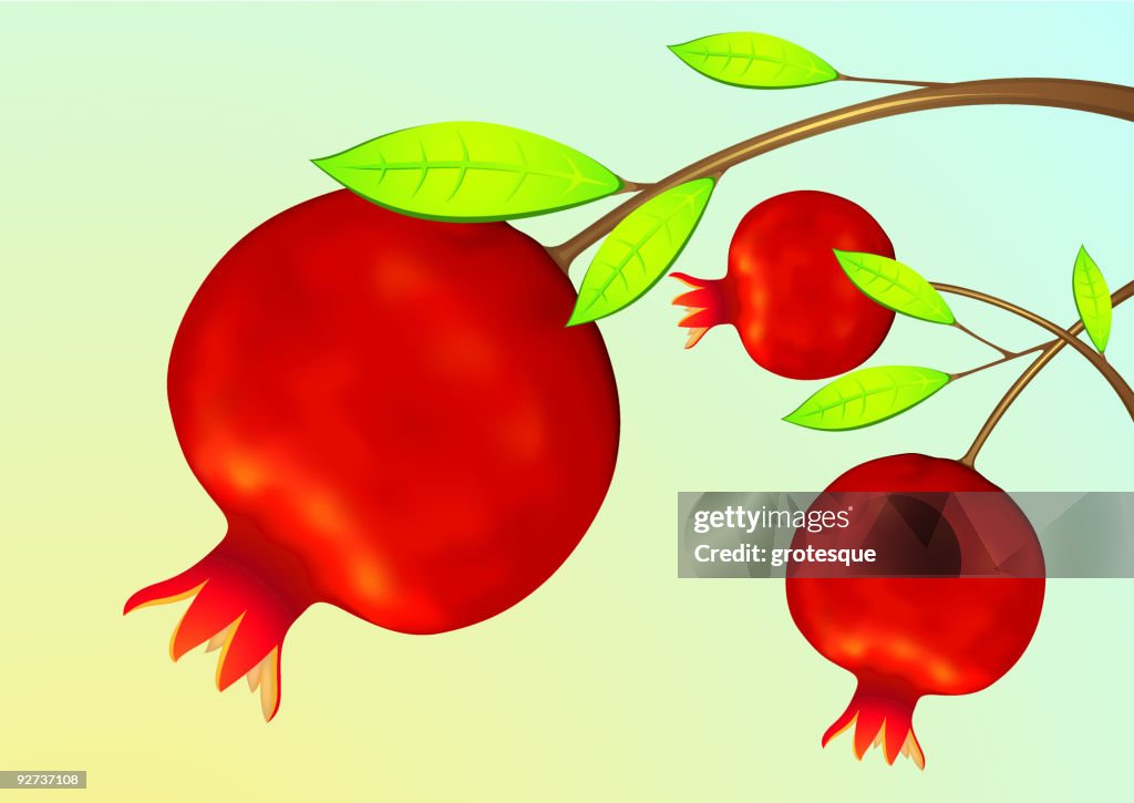 Frutas de Romã