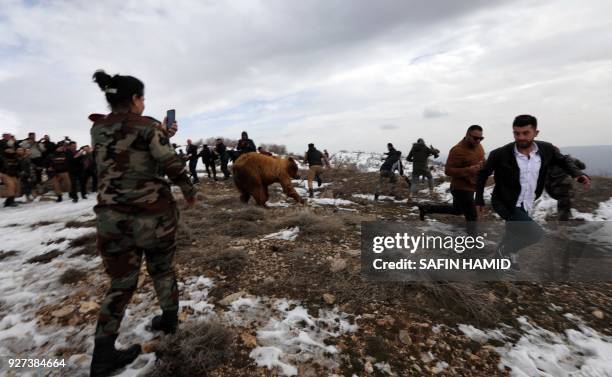 Kurds flee from a bear that was rescued from a private home by Iraqi Kurdish Animal rights activists after a local NGO released it into the wild in...