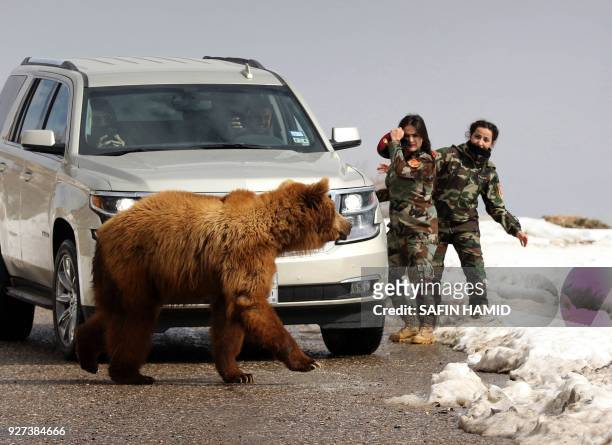 Female Iraqi Kurdish peshmerga fighters and journalists watch on as they release a bear into the wild in the Gara Mountains near the northern Iraqi...