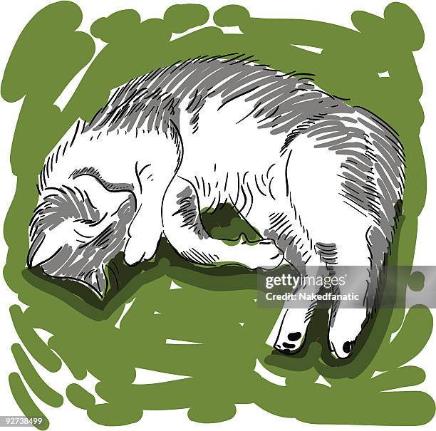pussy cat - lazy cat stock illustrations