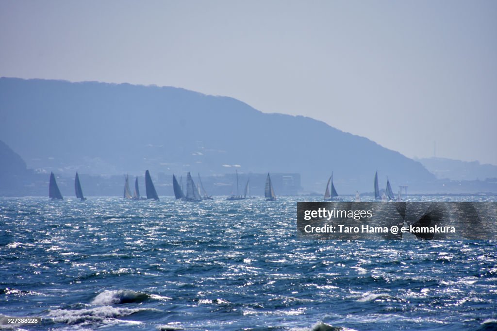 Many sailing yachts on Sagami Bay, Pacific Ocean in Hayama town in Kanagawa prefecture in Japan