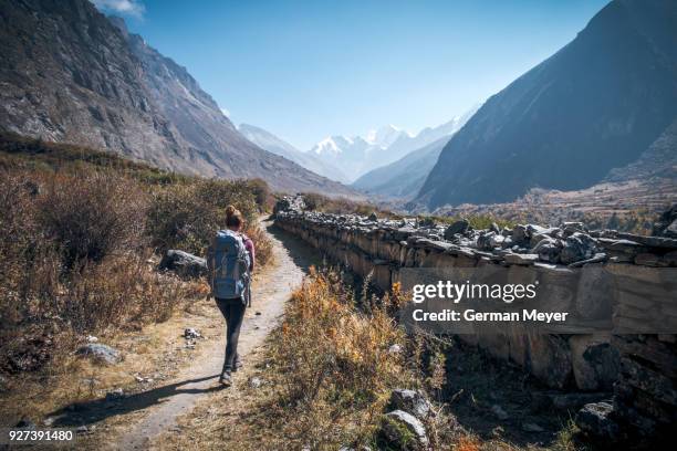 girl hiking the langtang valley of nepal - physical position - fotografias e filmes do acervo