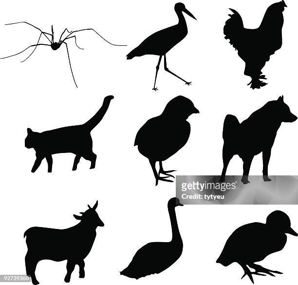 animal vector shapes - free range ducks stock illustrations