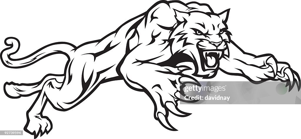 Wildcat Anspringen Schwarz & Weiß