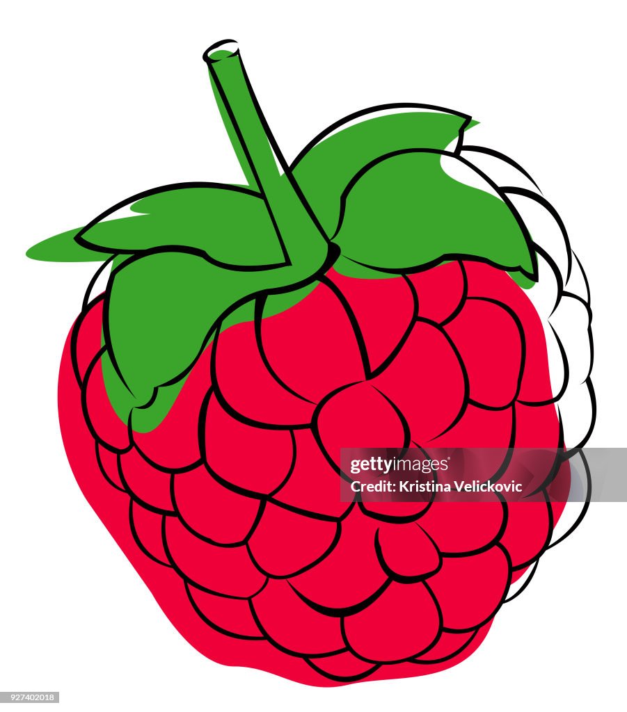 Graphics Raspberry Clip Art Raspberry Clip Art High-Res Vector Graphic - Getty Images