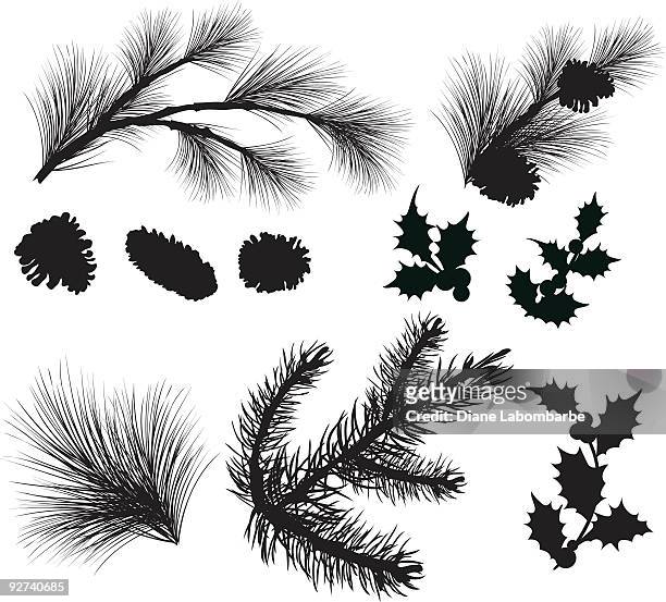 ilustrações, clipart, desenhos animados e ícones de evergreen raminhos de folhas de silhuetas clipart e holly - conífera