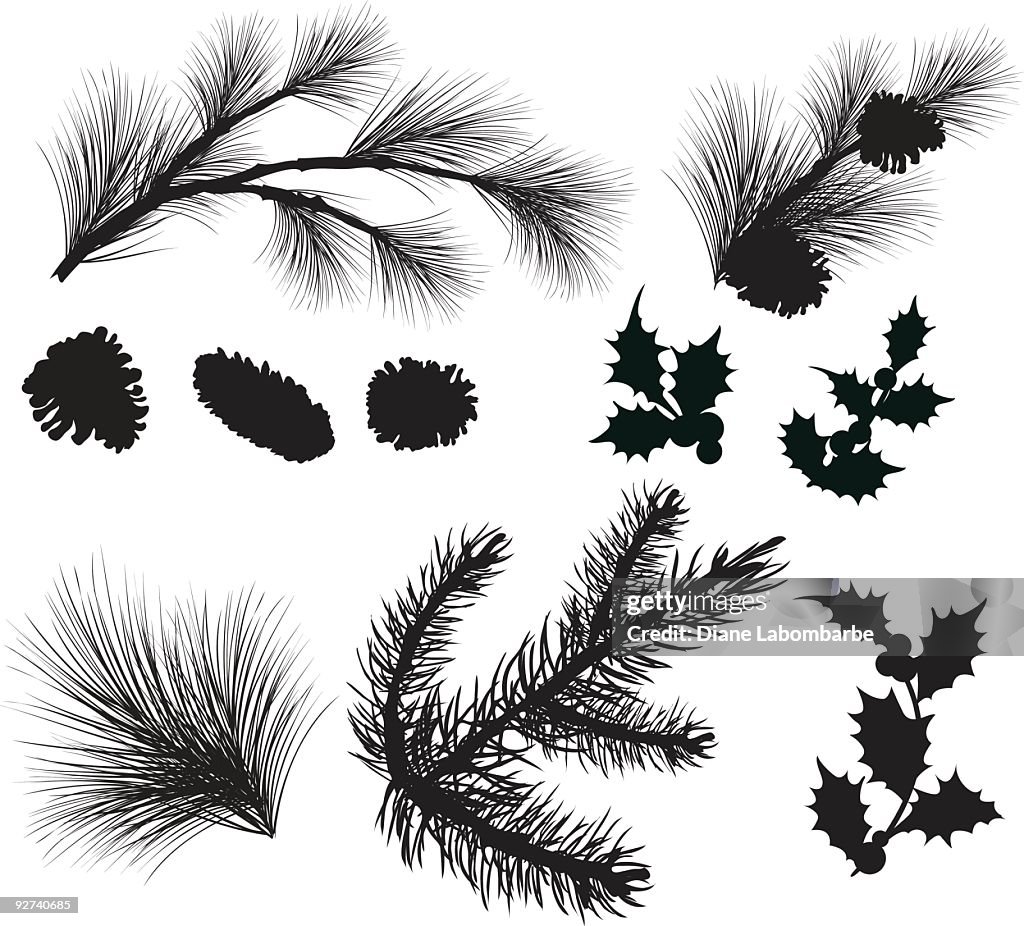 Evergreen Sprigs and Holly Leafs Silhouettes Clipart