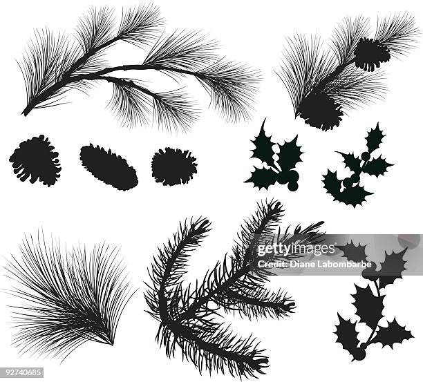 evergreen sprigs and holly leafs silhouettes clipart - branch plant part stock illustrations