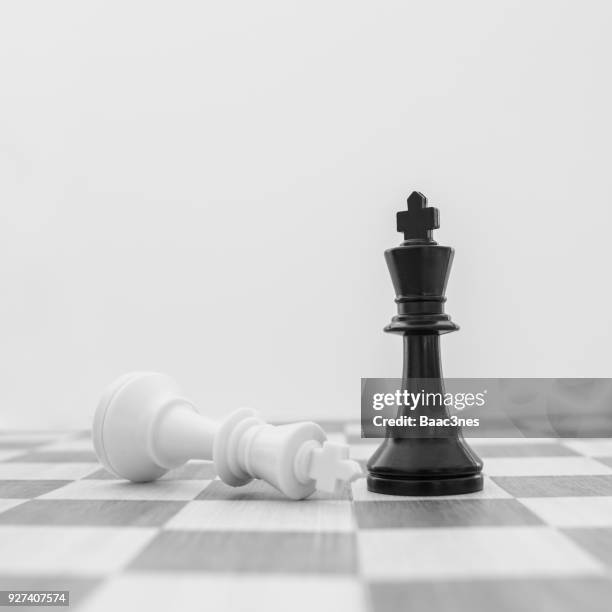 two king chess pieces on a chess board - chess king stockfoto's en -beelden