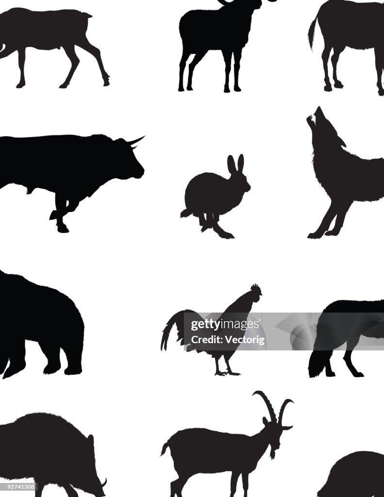 Domestic And Wild Animals Silhouette High-Res Vector Graphic - Getty Images
