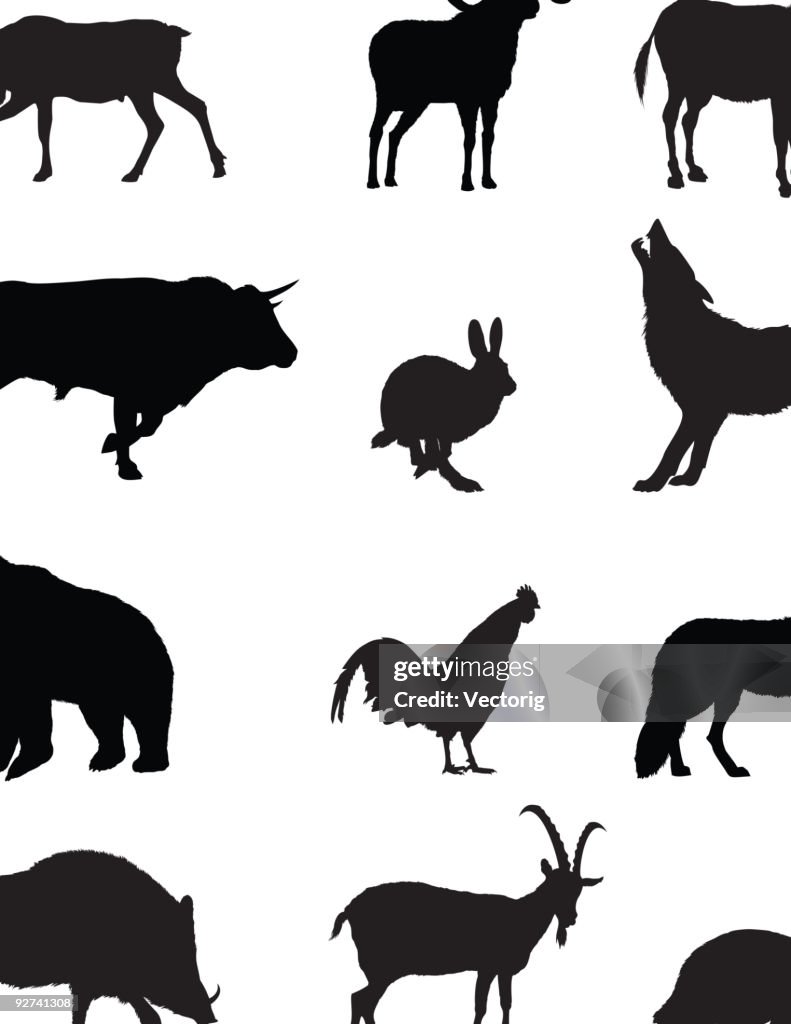 Domestic And Wild Animals Silhouette High-Res Vector Graphic - Getty Images Domestic And Wild Animals Silhouette High-Res Vector Graphic - Getty Images