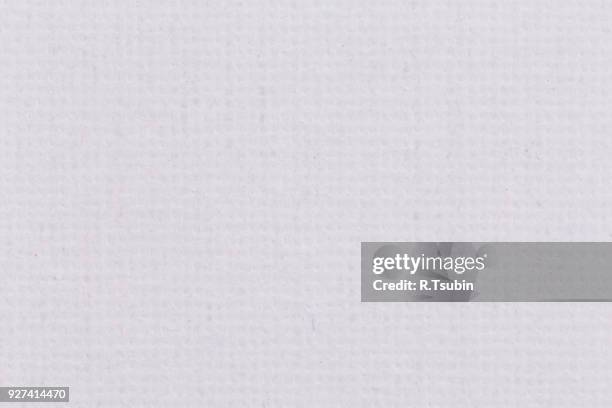 white coarse canvas texture - garbage flecked stock pictures, royalty-free photos & images