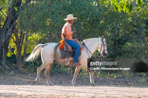 159 fotos de stock e banco de imagens de Cavalo Pantaneiro - Getty Images