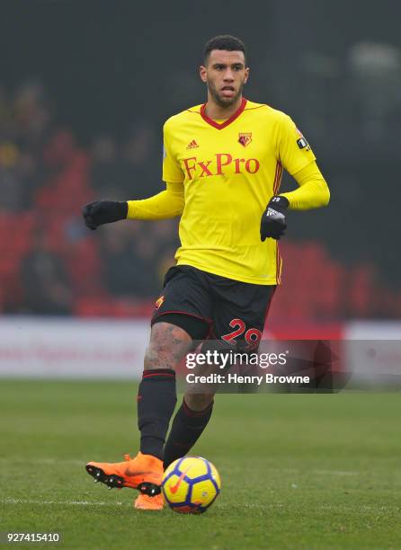 Etienne Capoue of Watford during the Premier League match between Watford and West Bromwich Albion at Vicarage Road on March 3, 2018 in Watford,...