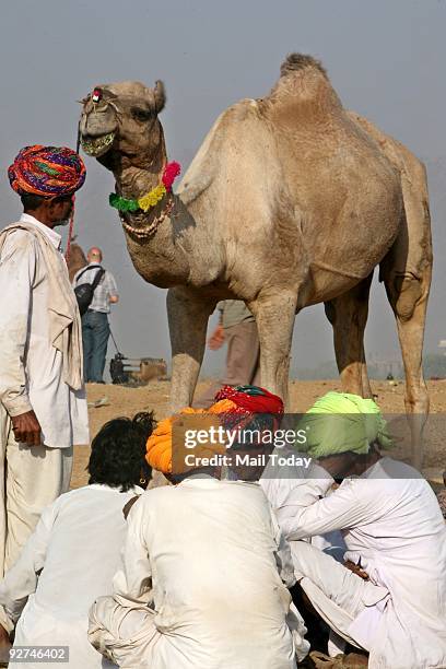 592 Pushkar Mela Photos and Premium High Res Pictures - Getty Images 592 Pushkar Mela Photos and Premium High Res Pictures - Getty Images