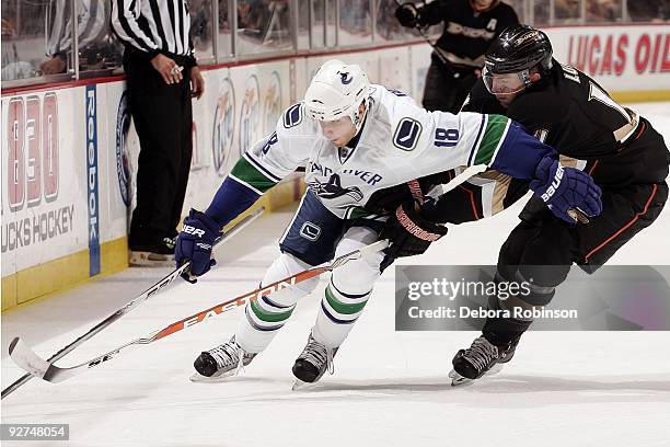 Steve Bernier of the Vancouver Canucks reaches for the puck against Joffrey Lupul of the Anaheim Ducks during the game on October 30, 2009 at Honda...