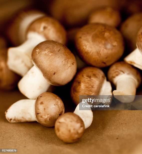 mushrooms - carolafink 個照片及圖片檔