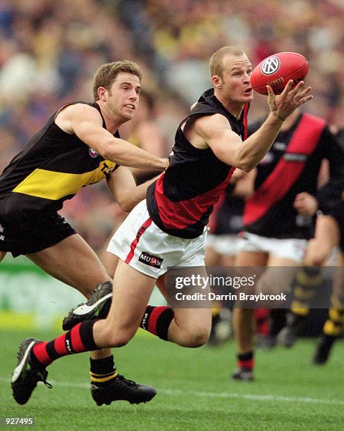 Sean Wellman for Essendon in action during round seven of the AFL season match played between Richmond Tigers and the Essendon Bombers held at the...