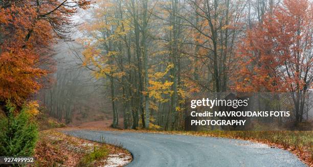 curvy autumn road - kavalla stock pictures, royalty-free photos & images
