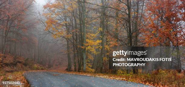 curvy autumn road - kavalla stock pictures, royalty-free photos & images