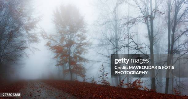 majestic autumn scenery - kavalla stock pictures, royalty-free photos & images