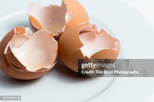 Broken Eggshells on a White Plate Broken Eggshells on a White Plate