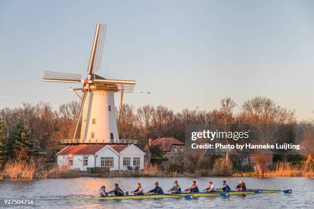 Begin Rotte Rivier Rotte (River) Photos and Premium High Res Pictures - Getty Images