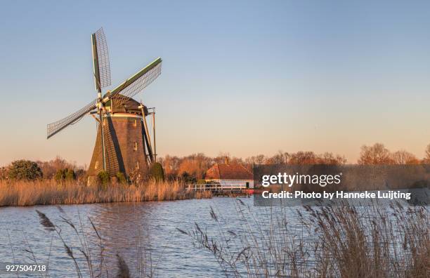 Begin Rotte Rivier 74 Rotte River Stock Photos, High-Res Pictures, and Images - Getty Images