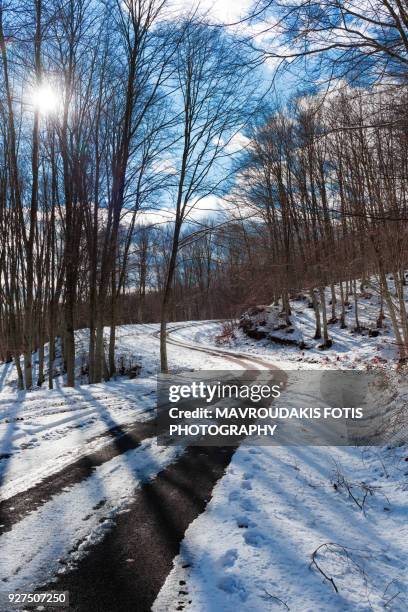 snowy forest road - kavalla stock pictures, royalty-free photos & images