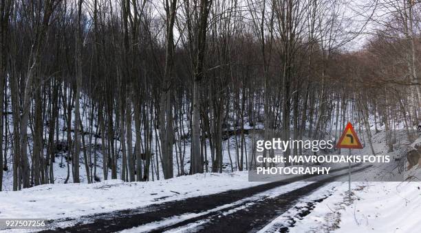 snow scenery in the forest - kavalla stock pictures, royalty-free photos & images