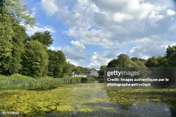 the "petit etang du lange gracht" and rouge cloister abbey at the back of - grand etang lake stock pictures, royalty-free photos & images