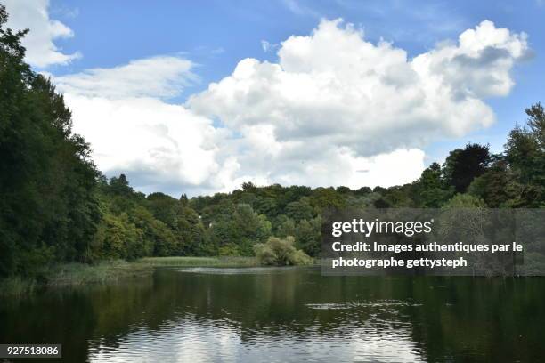 the "grand etang du lange gracht " under shadow of clouds - grand etang lake stock pictures, royalty-free photos & images
