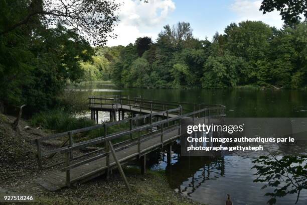 the wooden viewpoint pontoon of "grand etang du lange gracht" under shadow - grand etang lake stock pictures, royalty-free photos & images