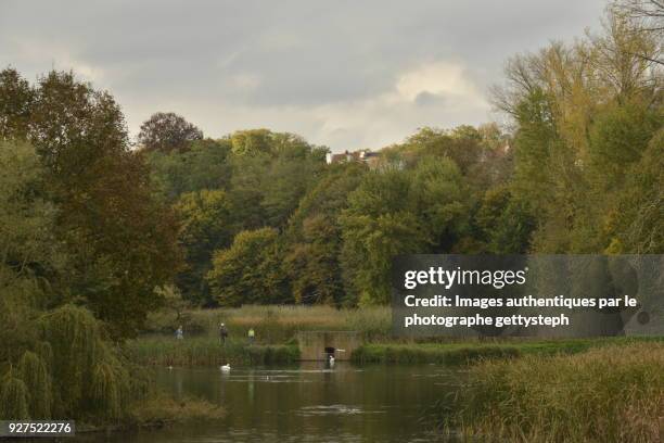 the "petit et grand etang du lange gracht" in middle idyllic nature under gray sky - grand etang lake stock pictures, royalty-free photos & images