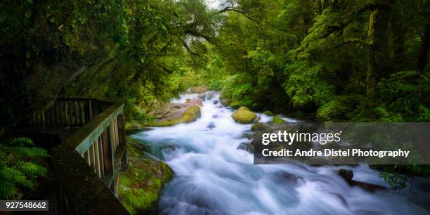 milford sound - new zealand - te anau stock pictures, royalty-free photos & images