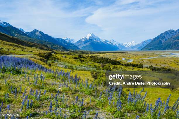 mt cook national park - new zealand - gletscher stockfoto's en -beelden