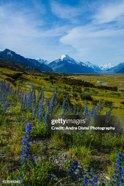 mt cook national park - new zealand - gletscher stockfoto's en -beelden