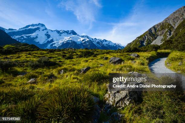 mt cook national park - new zealand - gletscher stockfoto's en -beelden