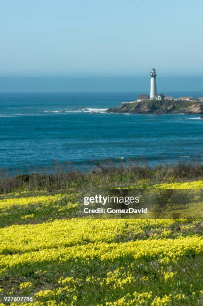 wild mustard plants in bloom and lighthouse - pescadero stock pictures, royalty-free photos & images
