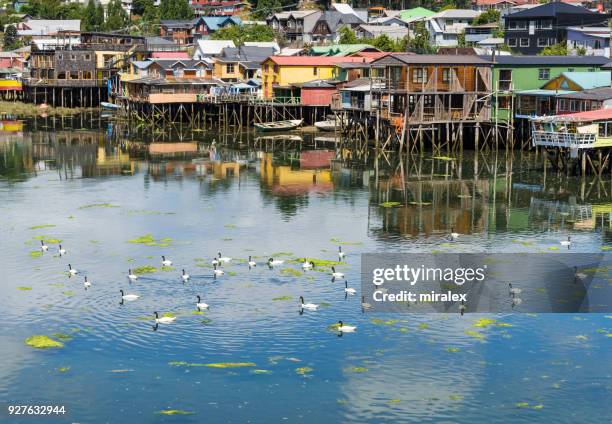 palafitos in castro on island of chiloé, chile - castro chiloé island stock pictures, royalty-free photos & images